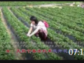 07:14 經(jīng)營各國品牌塑膠原料