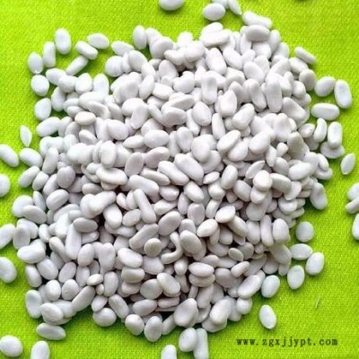 鑫源彩 生產廠家/注塑母料/白色母料pp玩具注塑母料 pp母料 填充母