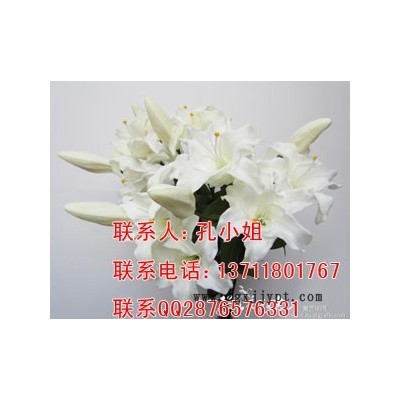 聚氨酯樹脂 1048軟發泡料 柔軟動漫定格專用 PU發泡膠 仿真花草樹葉發泡劑