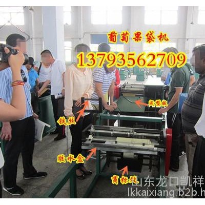 凱祥新型火龍果果袋機 火龍果套袋機 專業生產果袋機廠家 制袋機