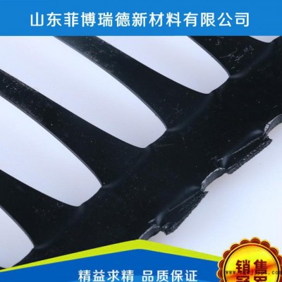 菲博瑞德 出售HDPE單向塑料土工格柵  現貨直銷高品質單向塑料 ** hdpe土工格柵