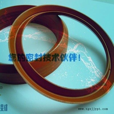 廠家專業生產氟膠V形密封圈 氟膠組合V形圈 FKM密封圈規格 組合氟膠V組合工況