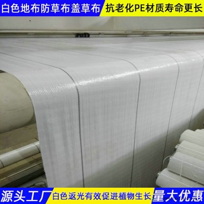 白色防草布青海生產加工
