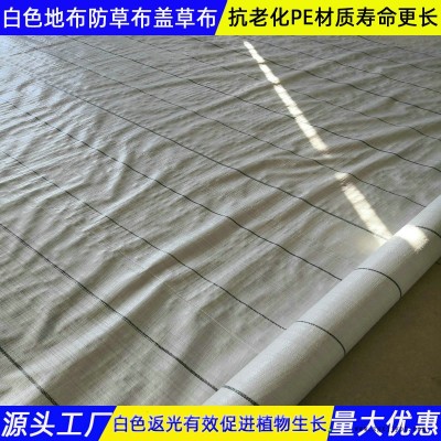 150克白色地布江蘇生產加工