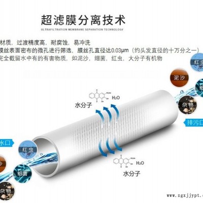 UF超濾膜  PVDF超濾膜，PVDF材質(zhì)膜絲  柱式超濾膜，替代2860