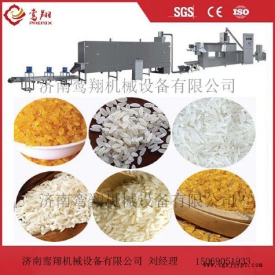 濟南鸞翔機械設備有限公司px65 70 85 95 120 素食米；黃金米；強化營養大米生機械設備生產線 濟南發泡機