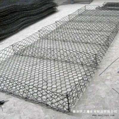 天之鷹廠家批發 雷諾護墊  pet石籠網  河道整治材料 防汛鉛絲網片 按需定制