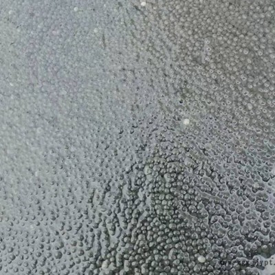 檸檬酸厭氧顆粒污泥-貴宏商貿(在線咨詢)-江蘇厭氧顆粒污泥