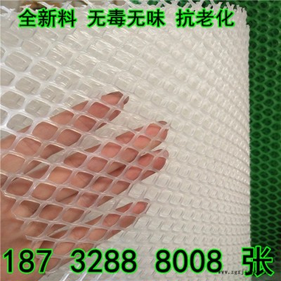 奔宇 廠家生產 供應 白色透明 pp pe 塑料網  塑膠網 全新料 抗老化 使用壽命長  規格齊全 可定制