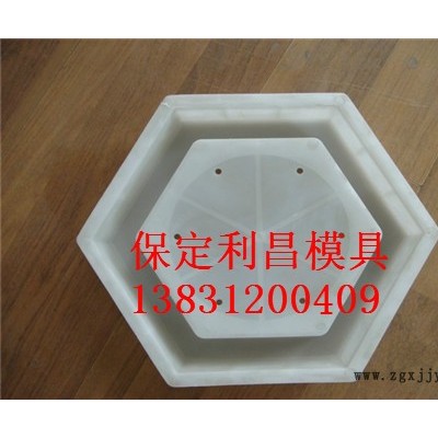 水渠護(hù)坡塑料模具抗老化