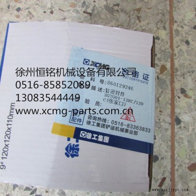 供應徐工配件860129246缸密封件XGYG01-128C129C(張家口)