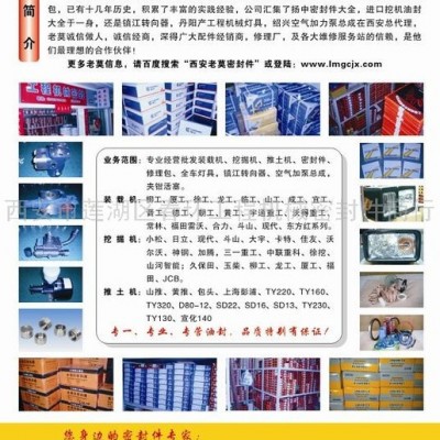 供應陜西黃工TY220推土機密封件修理包