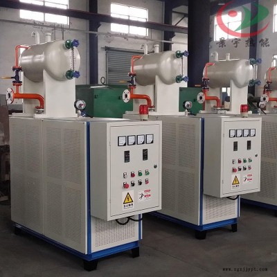 福建龍巖2020年環保10-120萬大卡導熱油高溫燃氣模溫機鍋爐