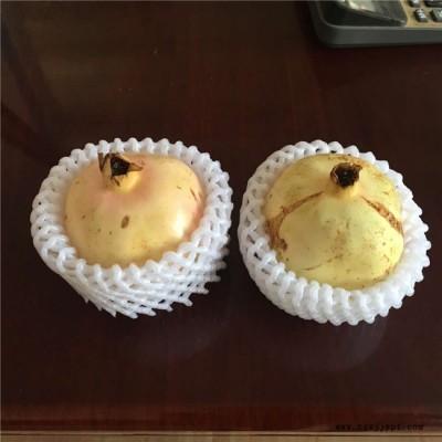 昆明番石榴網(wǎng)套機械價格