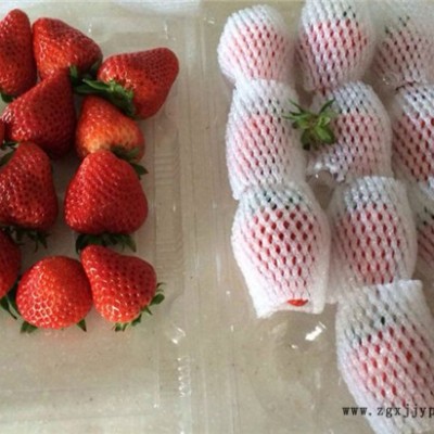 水果發泡網機